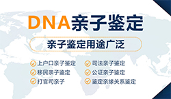 齐齐哈尔私密亲子鉴定办理费用，齐齐哈尔私密亲子鉴定多久出结果