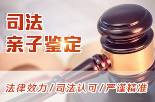 齐齐哈尔司法亲子鉴定流程,齐齐哈尔司法亲子鉴定在什么地方做