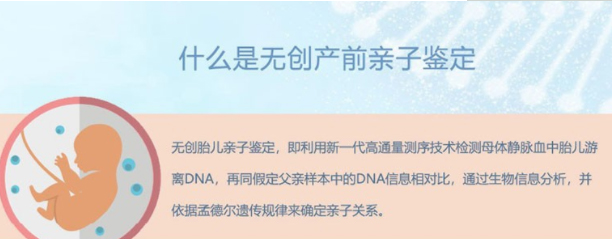 齐齐哈尔怀孕如何办理DNA鉴定,齐齐哈尔孕期亲子鉴定需要的条件和材料有哪些